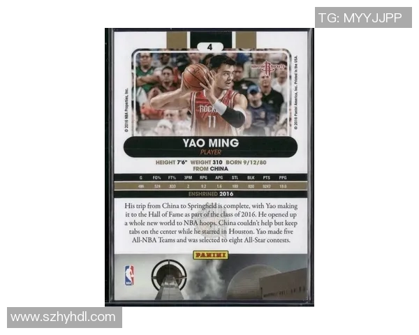 姚明路浩的篮球传奇与人生启示：从赛场到人生的精彩旅程