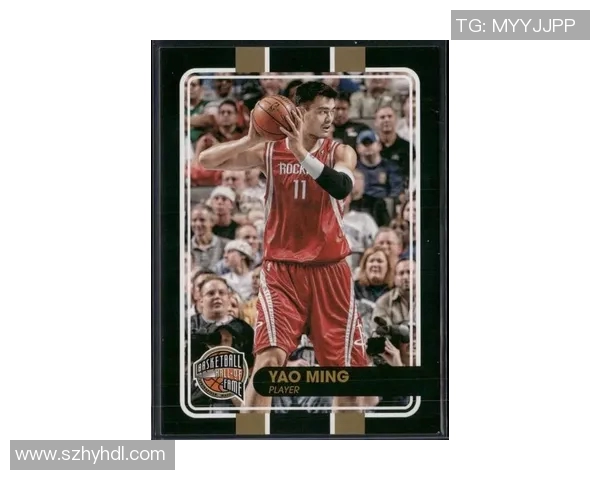 鼓励姚明在赛场上勇敢跳球展现自信与实力的精神之旅