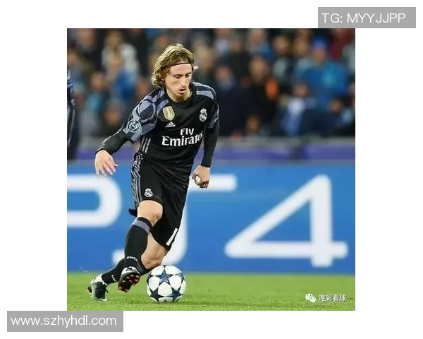 波黑足球明星的传奇之路与辉煌成就揭秘