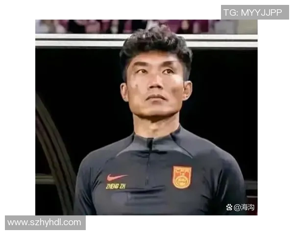 足球明星郑智的独特踢球风格与战术分析探讨 足球明星郑智的独特踢球风格与战术分析探讨
